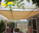 5.5 m x 5.5 m Square SAND The Shady Lady Shade Sail Range