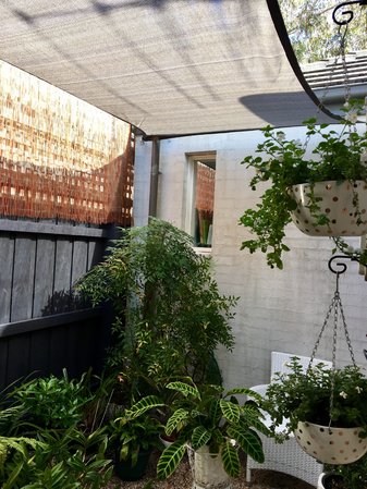 Thank Cherry for sending in your photo of your 2x3m Shady Lady Shade in grey. Providing some much needed shade for the plants, looks great.\\n\\n8/12/2016 8:22 PM